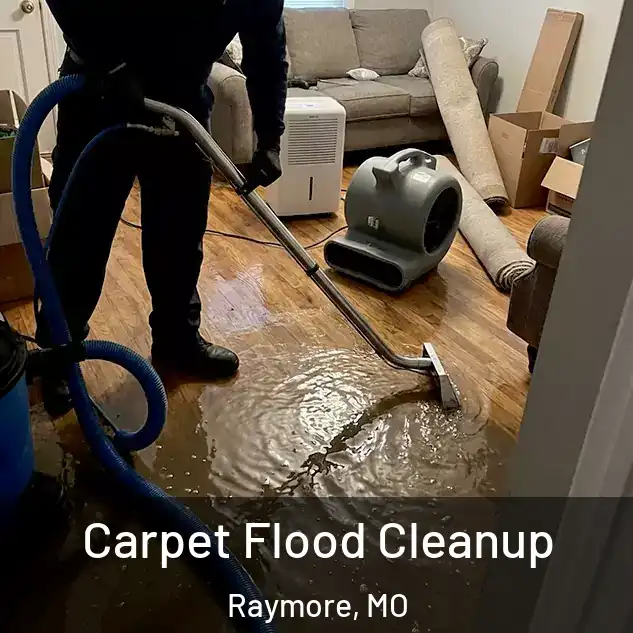  Carpet Flood Cleanup Raymore, MO