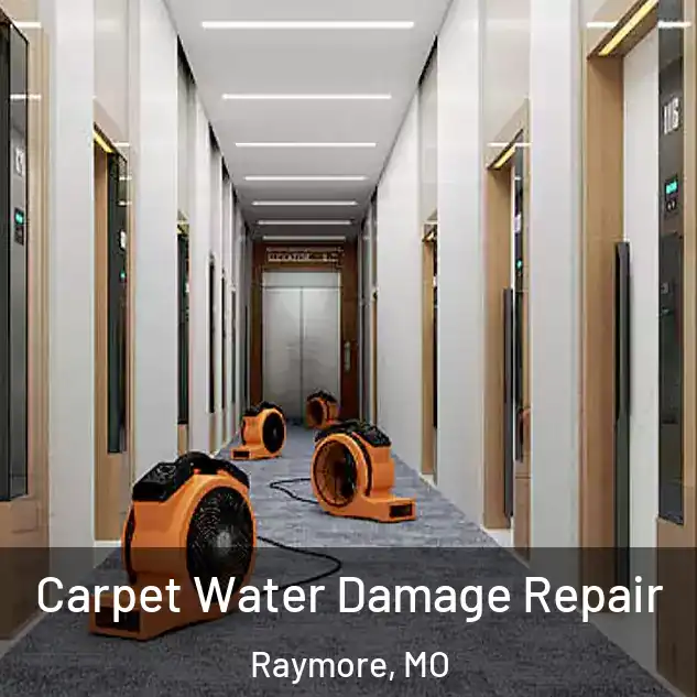  Carpet Water Damage Repair Raymore, MO