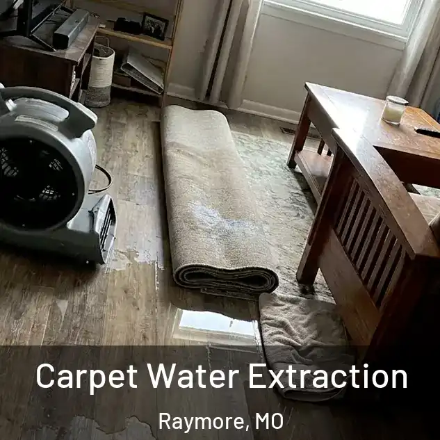  Carpet Water Extraction Raymore, MO