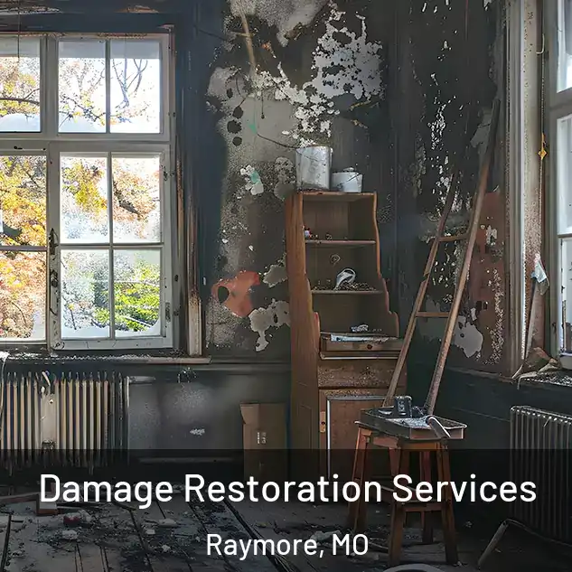  Damage Restoration Services Raymore, MO