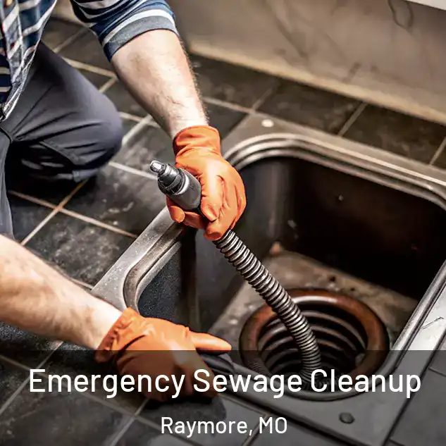  Emergency Sewage Cleanup Raymore, MO