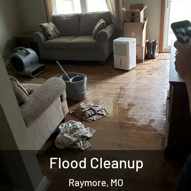 Flood Cleanup Raymore, MO