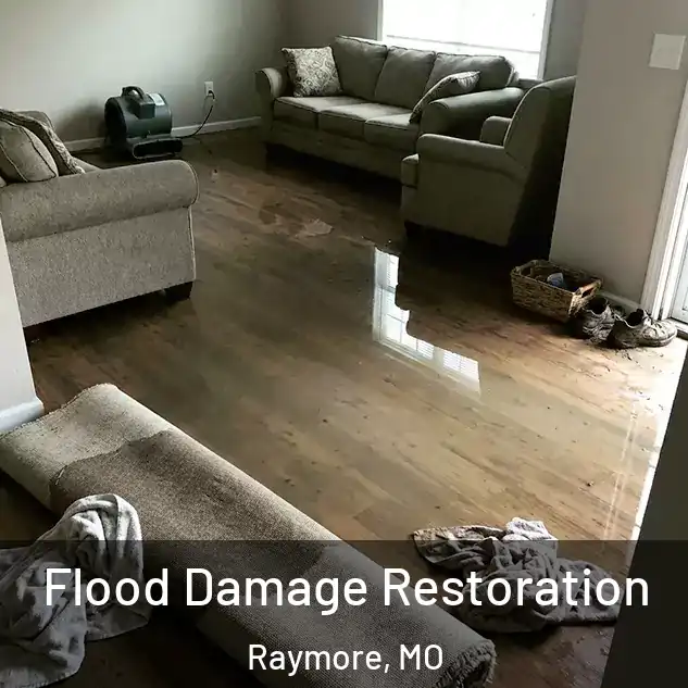  Flood Damage Restoration Raymore, MO