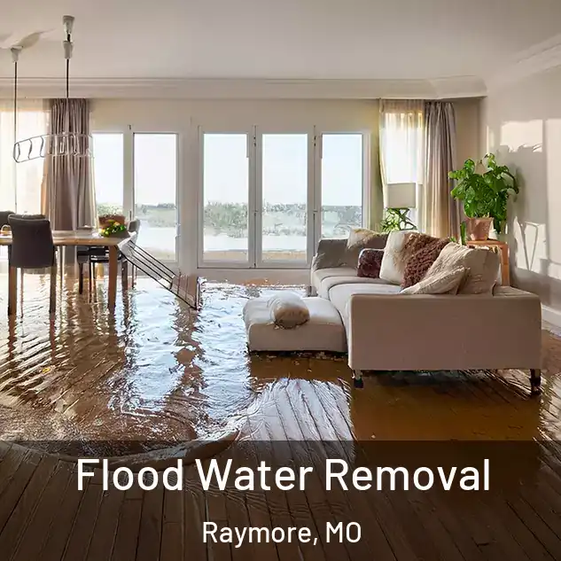  Flood Water Removal Raymore, MO