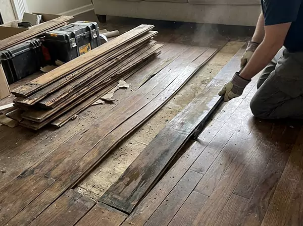 Water Damage Drying in Raymore