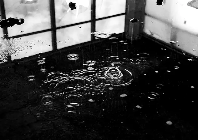 Your Contaminated Water Removal Specialists in Raymore, MO