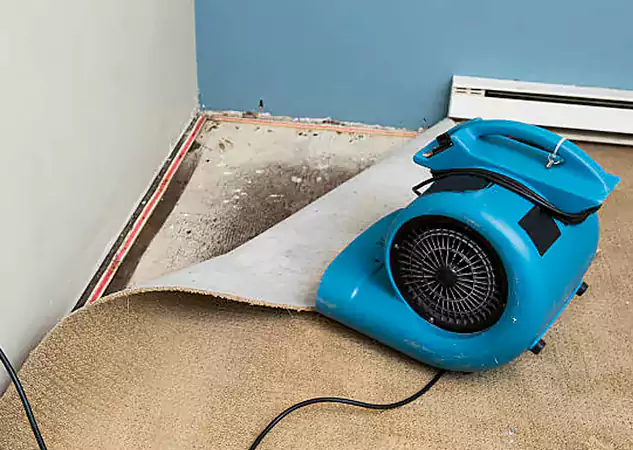 Your Water Damage Experts in Raymore, MO