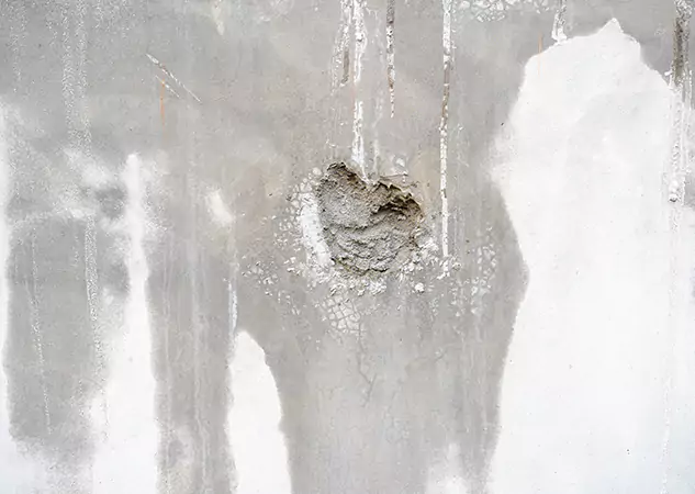 Your Mold Mitigation Solutions Partner in Raymore, MO