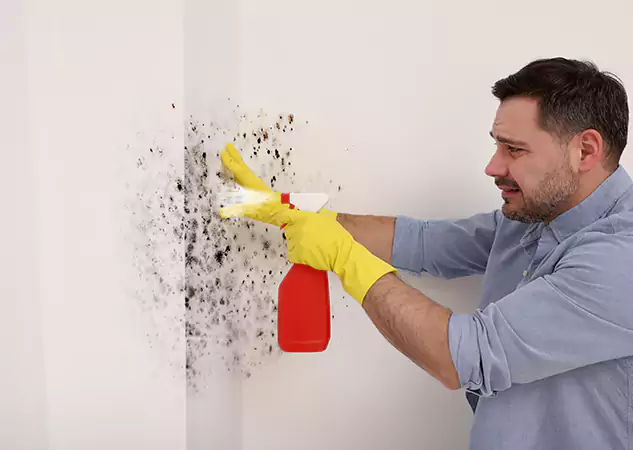 Your Water Mold Fire Restoration Partner in Raymore, MO