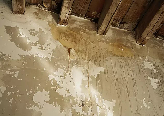 Your Trusted Restoration Company in Raymore, MO