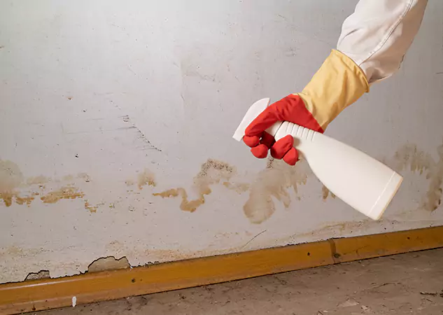 Your Water Restoration and Mold Remediation Specialists in Raymore, MO