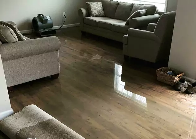 Your Trusted Restoration Company in Raymore, MO