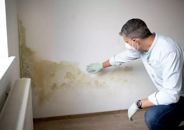 Reach Our Remediation Team Before Damage Grows in Raymore, MO!