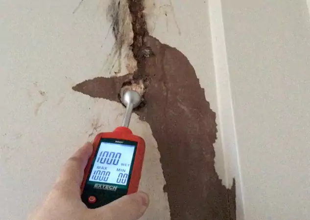 Your Water Damage Assessment Partner in Raymore, MO