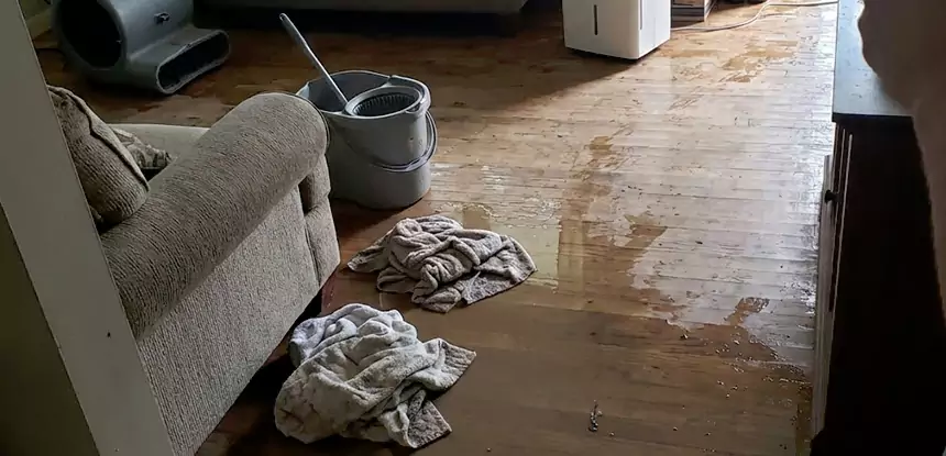 Professional Basement Water Remediation Services in Raymore, MO