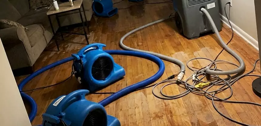 Basement Flood Restoration Services in Raymore