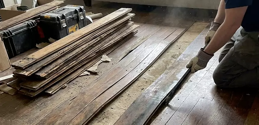Wood Rot and Fungus Repair in Raymore