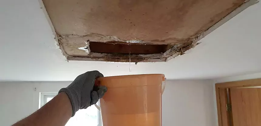 Ceiling Mold Repair Raymore 