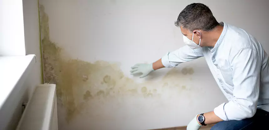 Mold and Water Damage Repair in Raymore