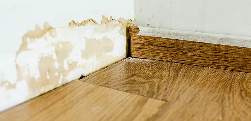 Professional Fix Water Damaged Wood Services in Raymore, MO