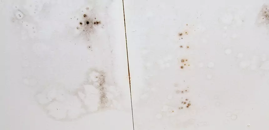Professional Water Stain Repair Services in Raymore, MO