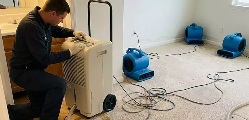 Professional Wet Carpet Removal Services in Raymore, MO