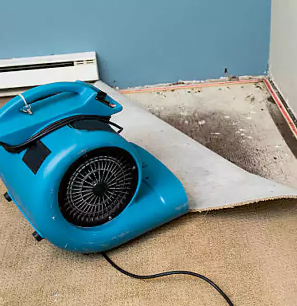 Why Raymore Trusts Raymore Restoration Pro for Carpet Flood Recovery?