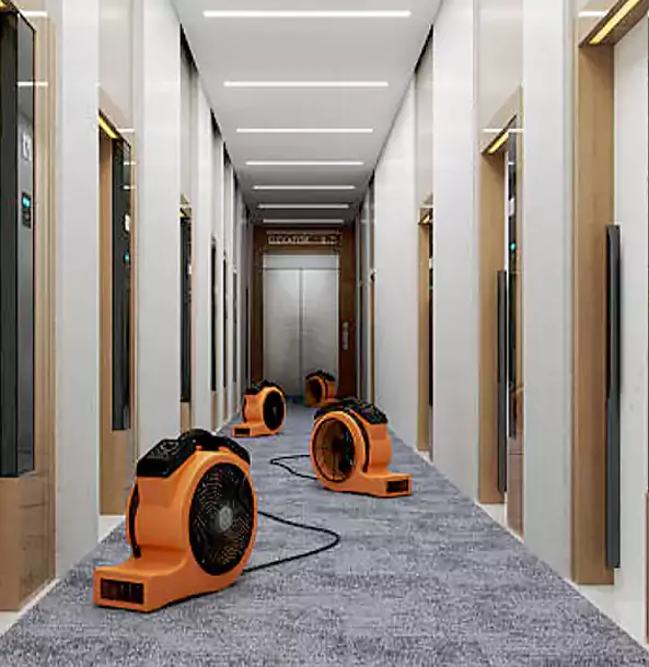 Why Raymore Trusts Raymore Restoration Pro?