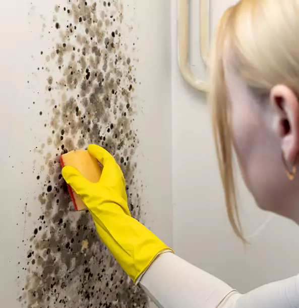 Why Raymore Restoration Pro Leads Mold Remediation in Raymore?