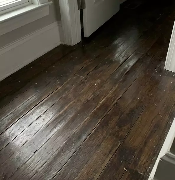 Why Raymore Homeowners Trust Raymore Restoration Pro to Fix Water Damaged Wood?