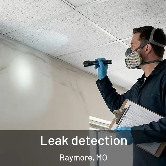  Leak detection Raymore, MO