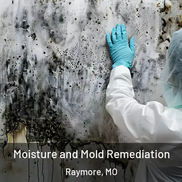  Moisture and Mold Remediation Raymore, MO