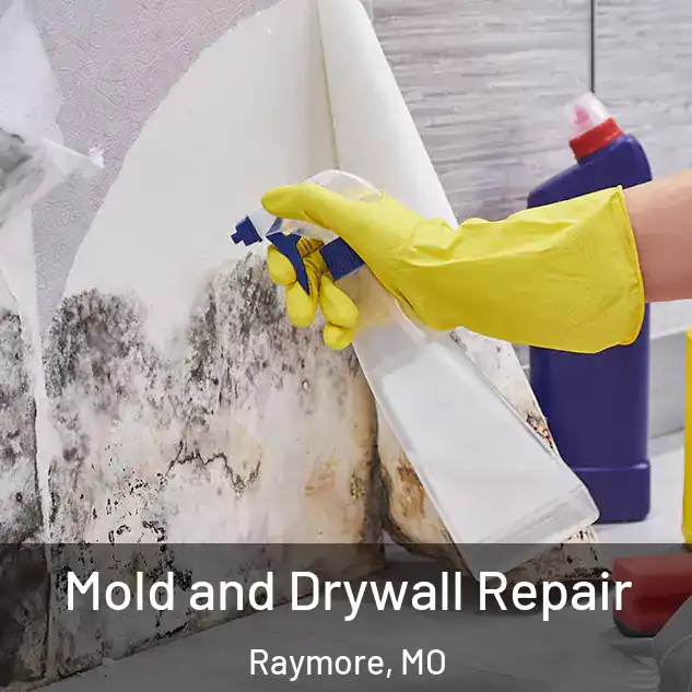  Mold and Drywall Repair Raymore, MO