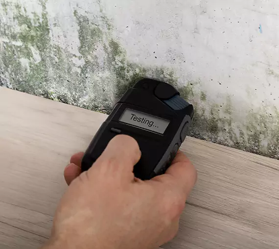 Mold Remediation Service Raymore