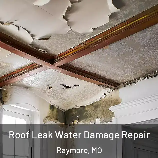  Roof Leak Water Damage Repair Raymore, MO