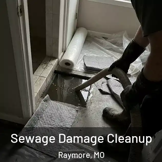  Sewage Damage Cleanup Raymore, MO