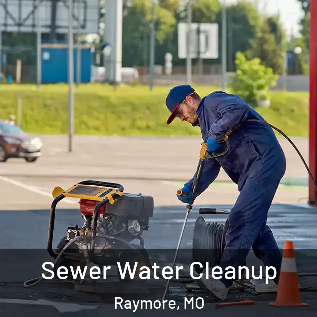  Sewer Water Cleanup Raymore, MO