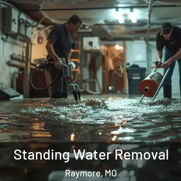  Standing Water Removal Raymore, MO