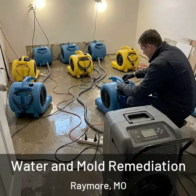 Water and Mold Remediation Raymore, MO