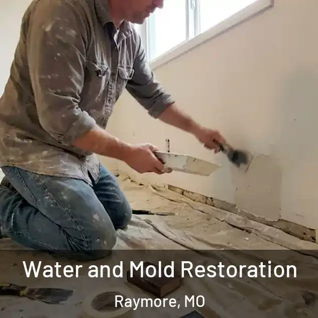 Water and Mold Restoration Raymore, MO