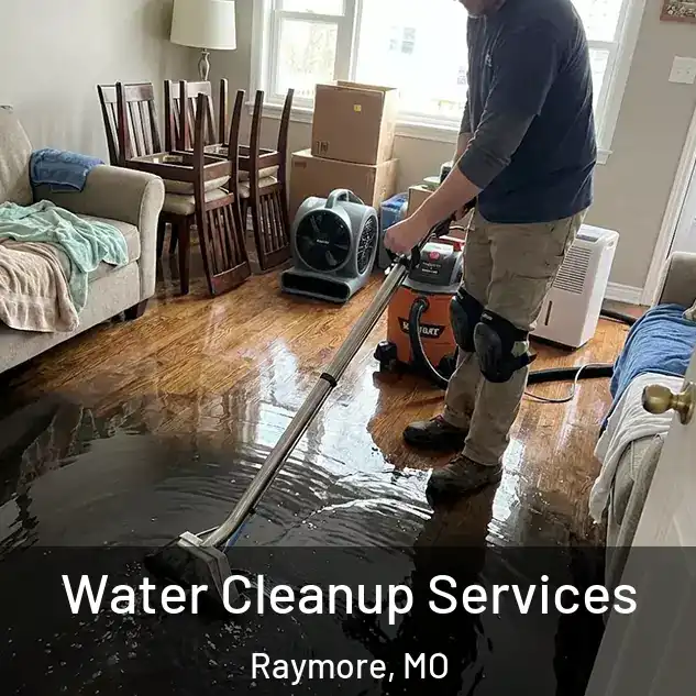  Water Cleanup Services Raymore, MO