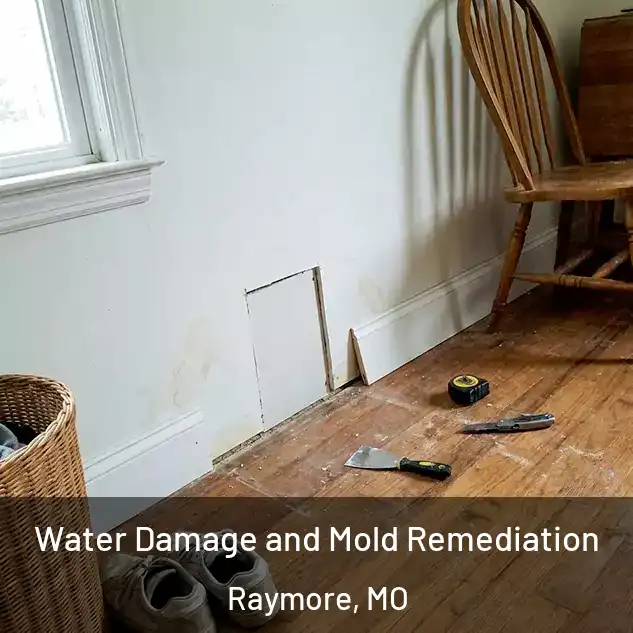  Water Damage and Mold Remediation Raymore, MO