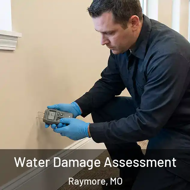  Water Damage Assessment Raymore, MO