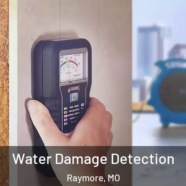  Water Damage Detection Raymore, MO