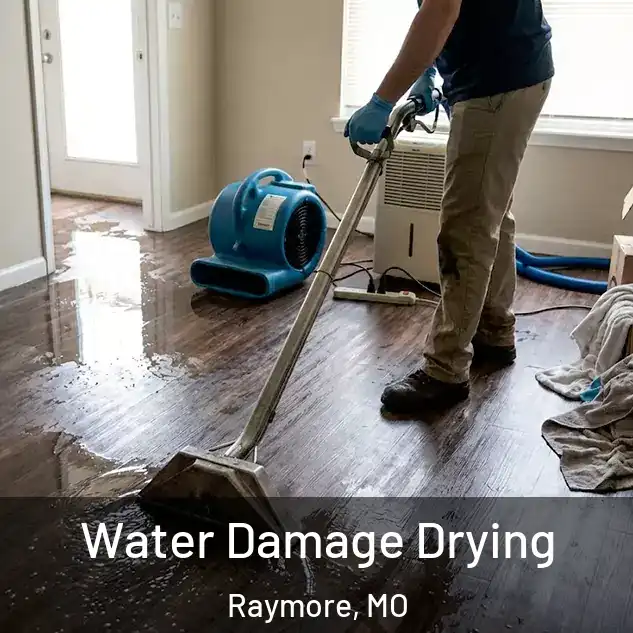  Water Damage Drying Raymore, MO