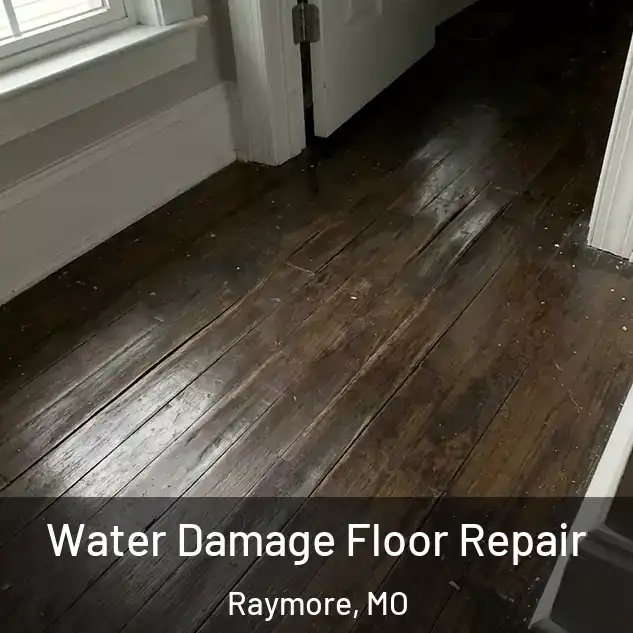  Water Damage Floor Repair Raymore, MO