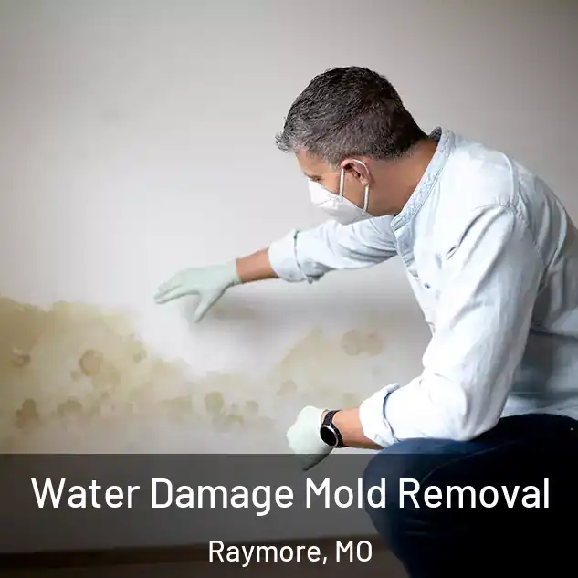  Water Damage Mold Removal Raymore, MO