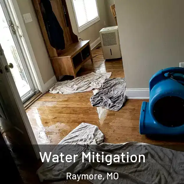 Water Mitigation Raymore, MO