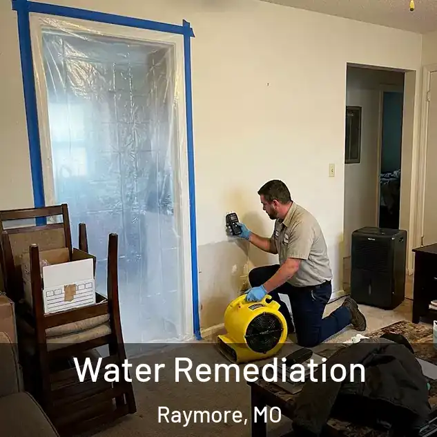  Water Remediation Raymore, MO