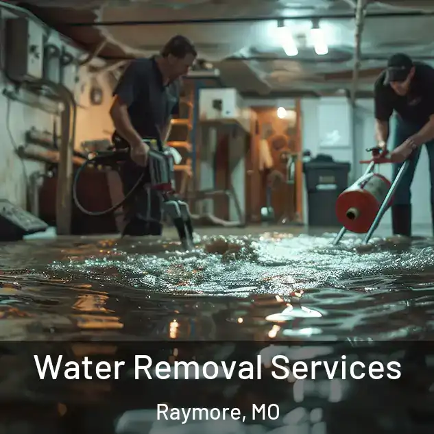  Water Removal Services Raymore, MO